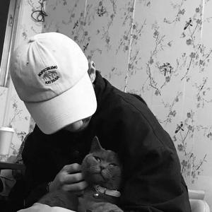 欧美成人免费观看的
